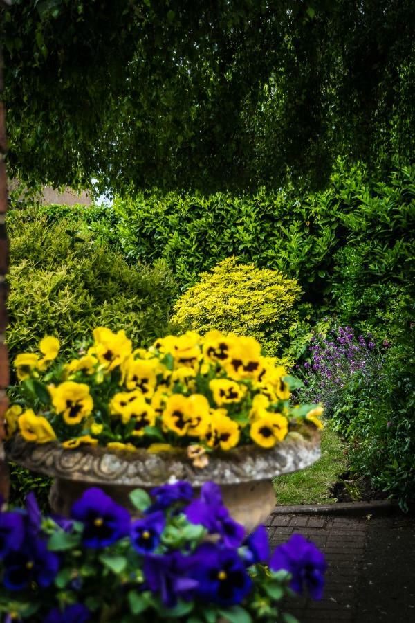 The Cottage Hotel Bradmore  Экстерьер фото